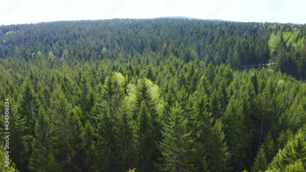 drohen flight over forest in Germany drohen flight over forest in Germany