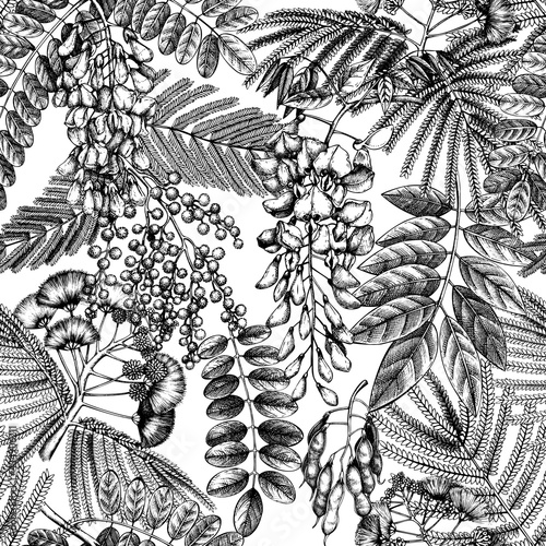 Floral backdrop with hand-sketched trees in flowers. Vintage background with blooming wisteria, mimosa, albizia, acacia. Floral pattern in retro style for fabric, packaging, wrapping.