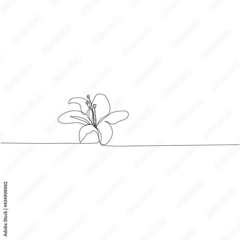 Fototapeta Continuous one line drawing of hibiscus flower - minimalist art. Vector illustration.
