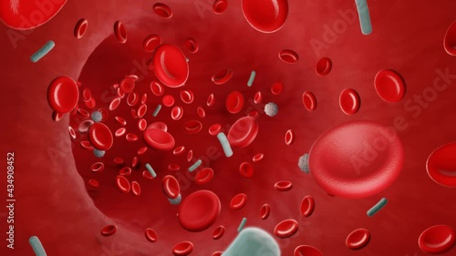 Bacteremia, bloodstream infection, bacteria in blood