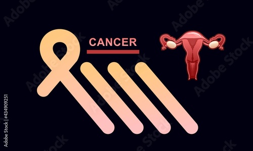 banner female genital organ uterus