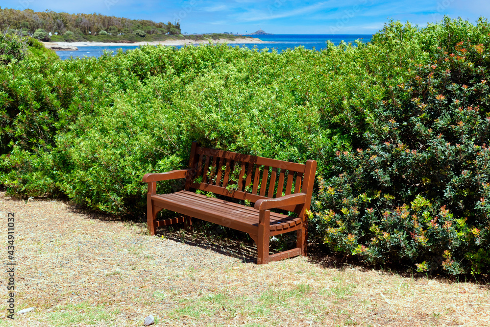 Obraz premium Empty and isolated wooden bench surrounded by green bushes under the rays of the sun with a blue sky of a sunny day. Concept of loneliness, hospitality or inner emptiness.