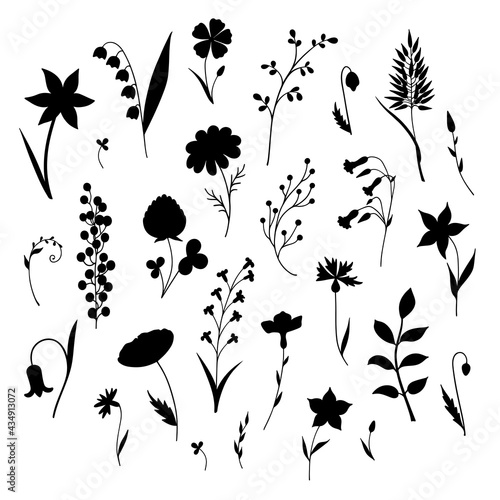 Set of silhouettes of herbs and flowers. Collection of isolated elements on a white background.