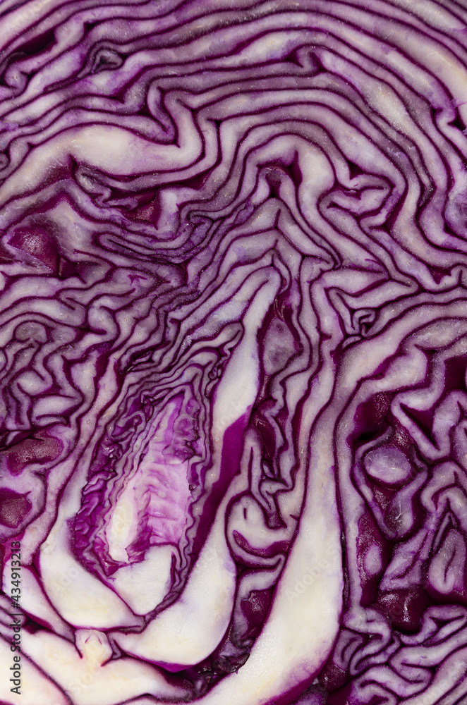 Vegetable colorful abstract texture - slice of red cabbage closeup, top view. Vegetable colorful abstract texture - slice of red cabbage closeup, top view.