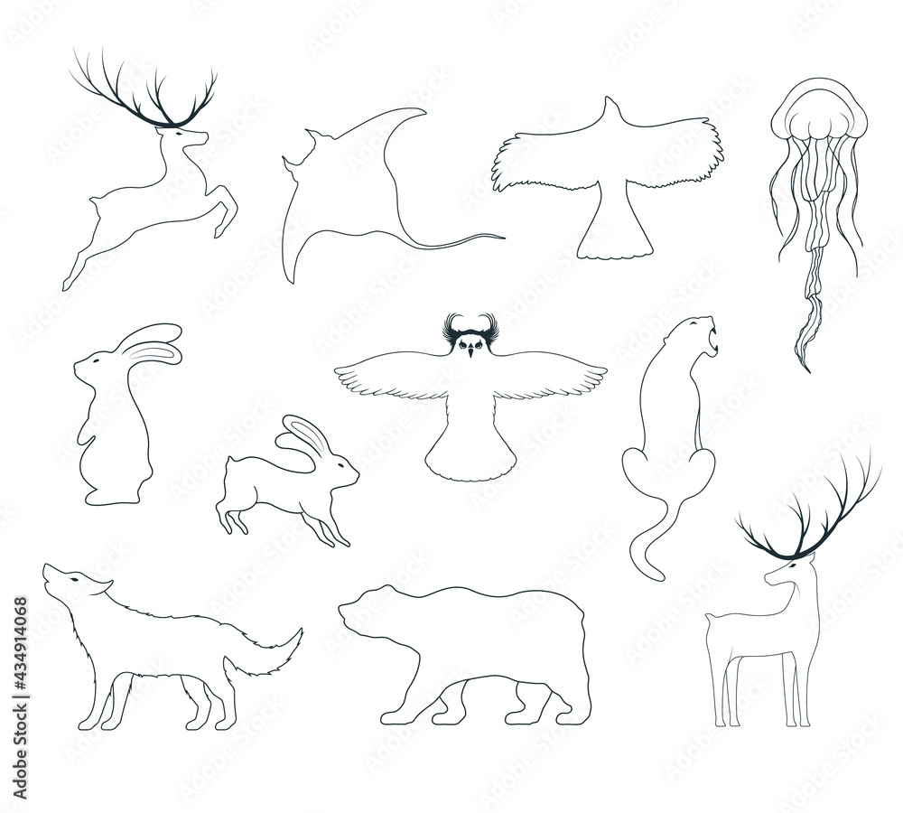 Hand drawn vector isolated illustration of animals outlines. Icons of hare, deer, wolf, bear, owl, whale, stingray, jellyfish, panther, eagle.