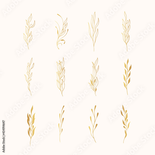 Set of golden floral branches and herbs silhouettes. Elegant botanic elements for wedding. Vector isolated spring gold flourish borders.