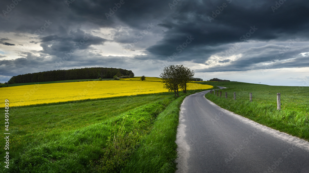 Country road near Bolkow, Lower Silesia, Poland