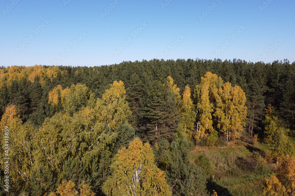View of the autumn forest against the blue sky with white clouds