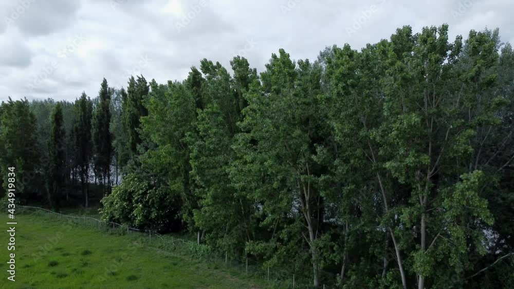 The river bank and the forest from drone view The river bank and the forest from drone view