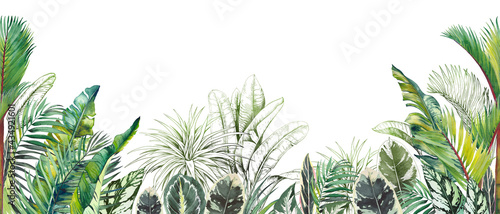 Seamless tropical border with green palm foliage. Watercolor and graphic illustration on white.