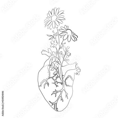Line art sketch of human heart flowers, vector illustration
