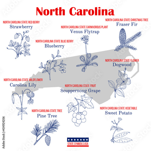 North Carolina. Set of USA official state symbols