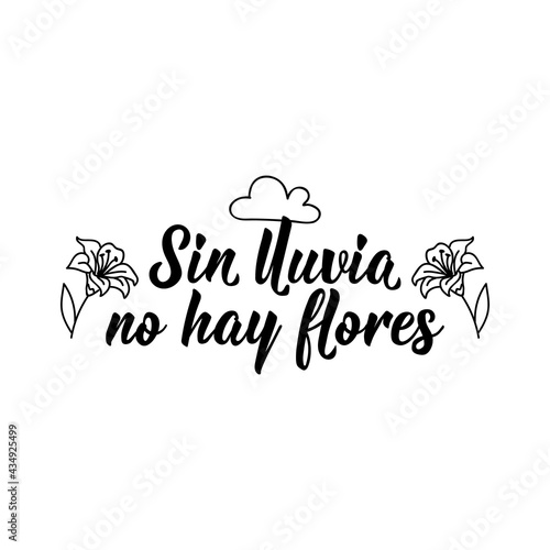 No rain no flowers - in Spanish. Lettering. Ink illustration. Modern brush calligraphy.