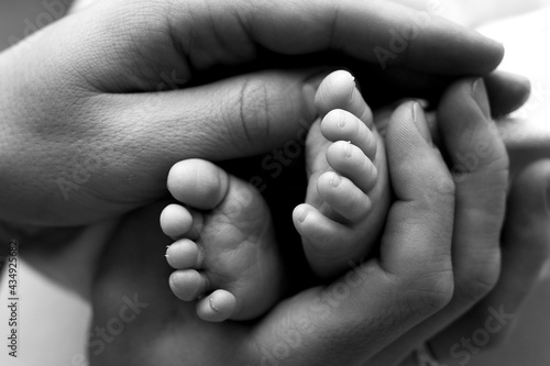 Feet of a newborn in the hands of a father, parent. Studio photography, black and white. Happy family concept.