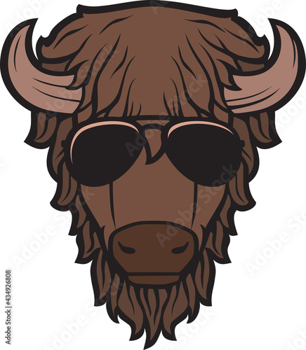 Bison head with aviator sunglasses color vector