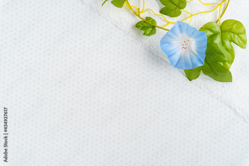 朝顔と和紙の夏の白背景 Stock Photo Adobe Stock 朝顔と和紙の夏の白背景 Stock Photo Adobe Stock
