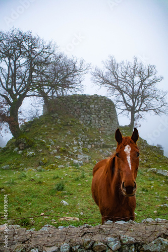 Nuraghe Dronnoro di Fonni, provincia di Nuoro, Sardegna photo