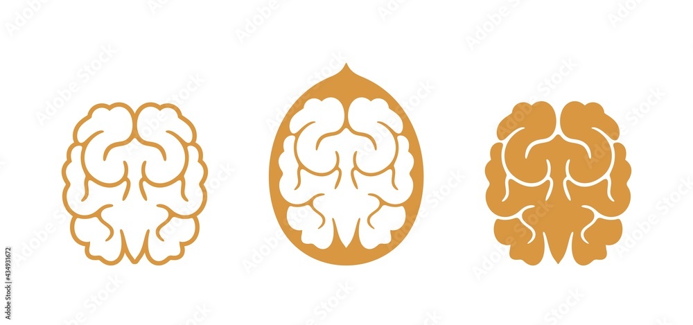 Walnut logo. Isolated walnut on white background Walnut logo. Isolated walnut on white background