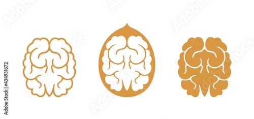 Walnut logo. Isolated walnut on white background