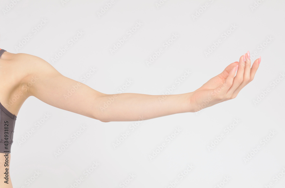 女性の美しい腕 女性の美しい腕