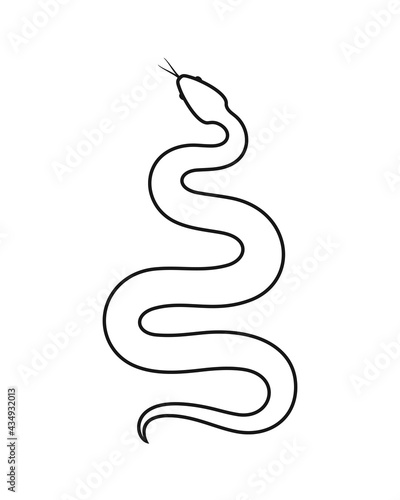 Snake outline. Isolated snake on white background