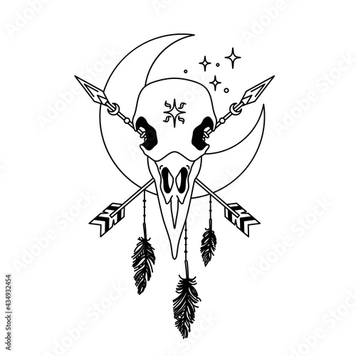 Mystical raven skull. Outline boho totem. Isolated ethnic drawing. Crow and moon sketch. Dream catcher print