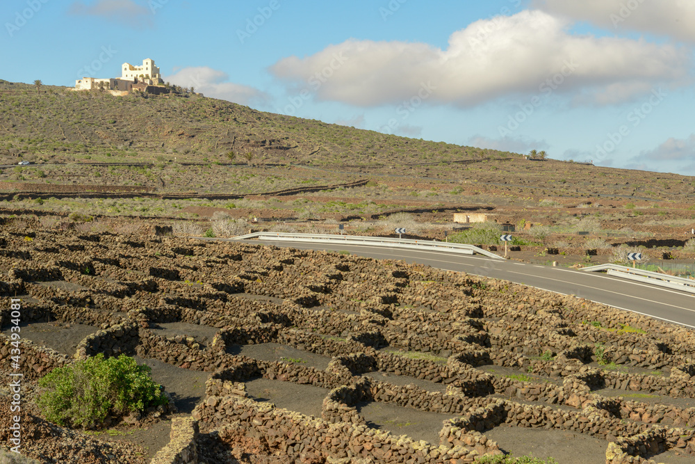 Fields winery farm on Lanzarote island in Spain