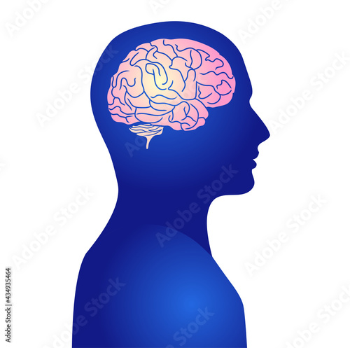 Human active brain