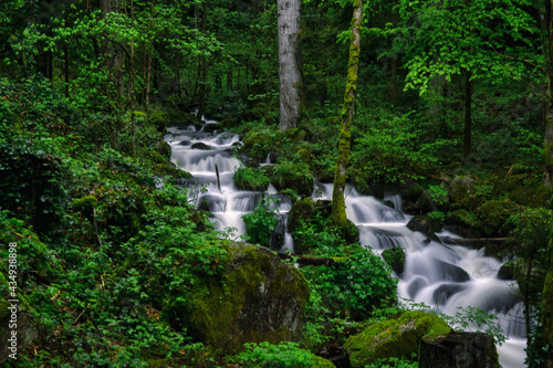 waterfall in the forest