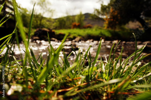 grass near the river © Studio 67
