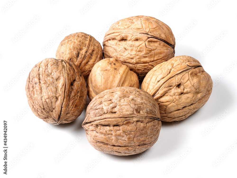several whole walnuts closeup on white several whole walnuts closeup on white