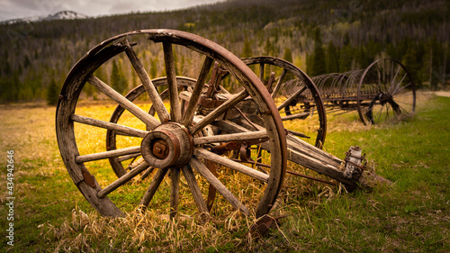 OLD FASHION CARRIAGE