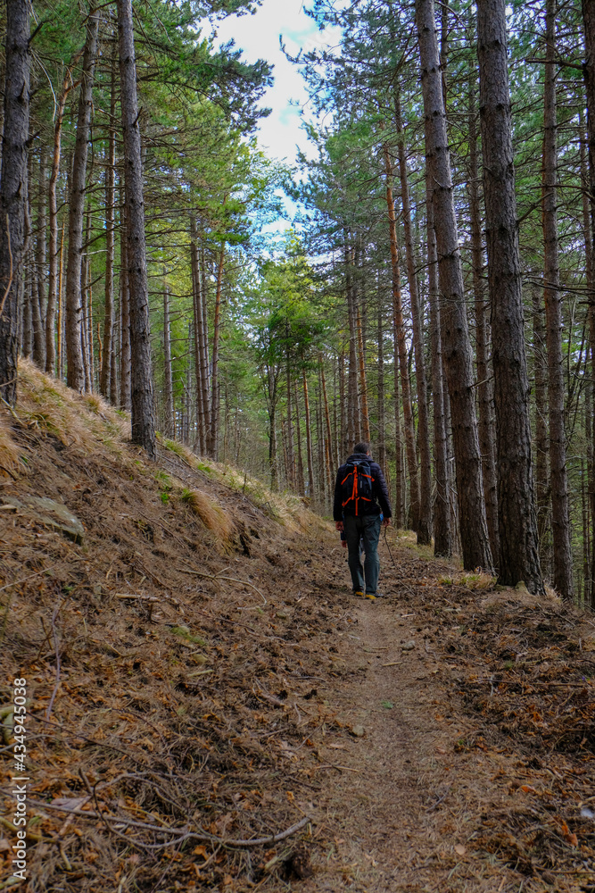 man with backpack hiking in the woods. Going through the forest path. Active weekend man with backpack hiking in the woods. Going through the forest path. Active weekend