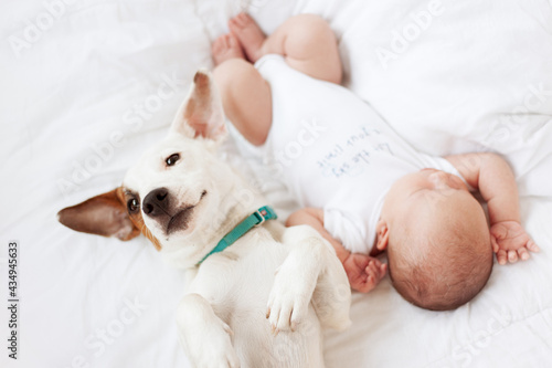 dog and newborn baby