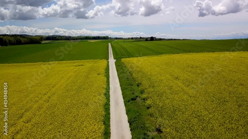 survol en drone à basse altitude d'un chemin de campagne entre des champs de colza jaune et d'autres cultures sous le soleil tamisé dans un ciel bleu voilé par de gros nuages blancs
