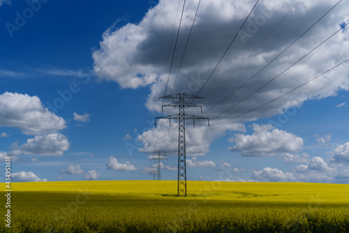 Field with yellow blossoming rapeseed with electric poles and clouds on a blue sky.