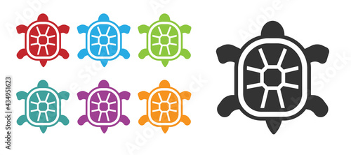 Black Turtle icon isolated on white background. Set icons colorful. Vector