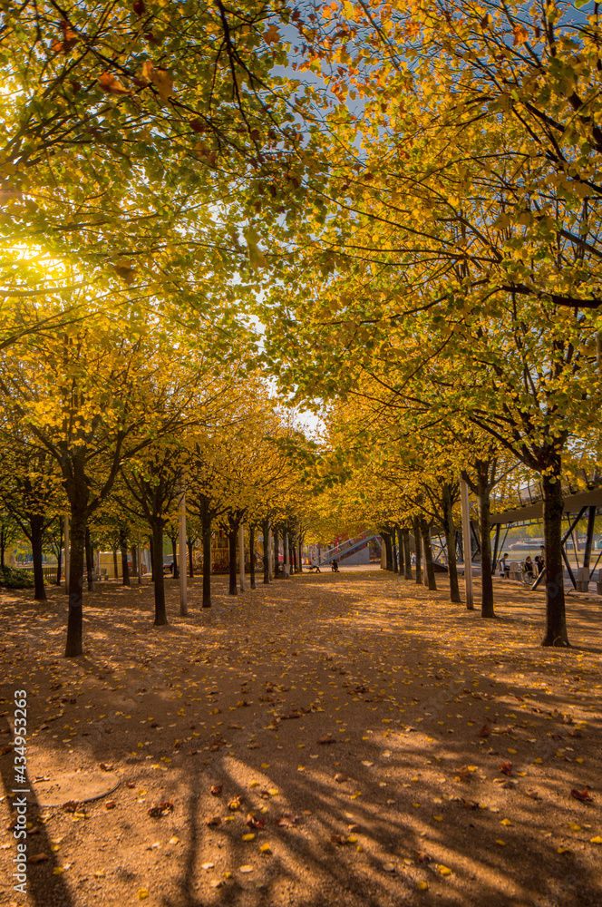 Autumn view from a park in Paris France