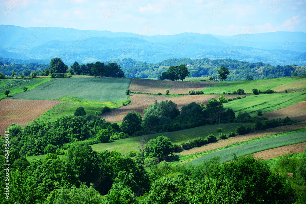 landscape with green field and blue sky