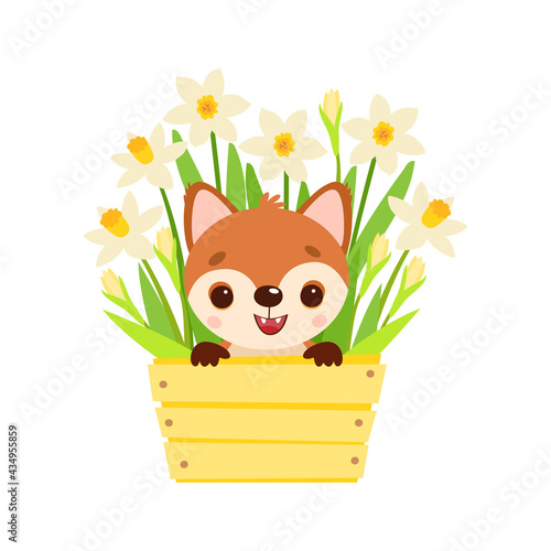 fox sitting in a wooden box with daffodils. vector illustration. character for children. illustration for the nursery.