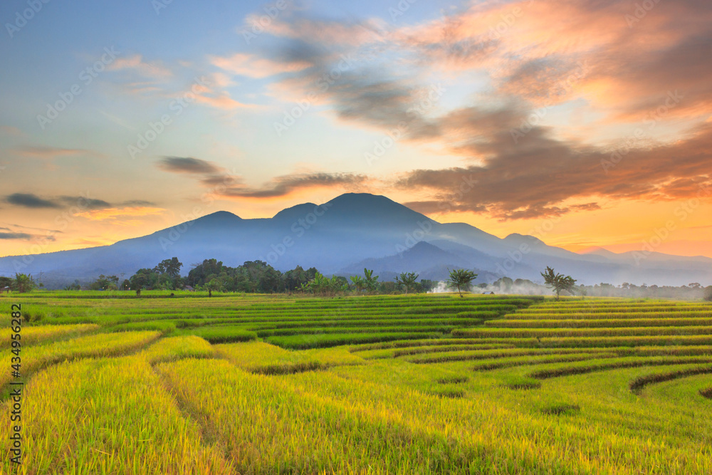 the beauty of the morning in the village area with yellowing rice fields under the mountain line at sunrise and the beautiful sky in the morning