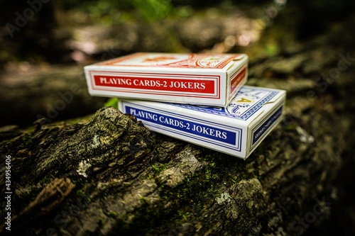 Red and Blue Playing Cards in the Woods