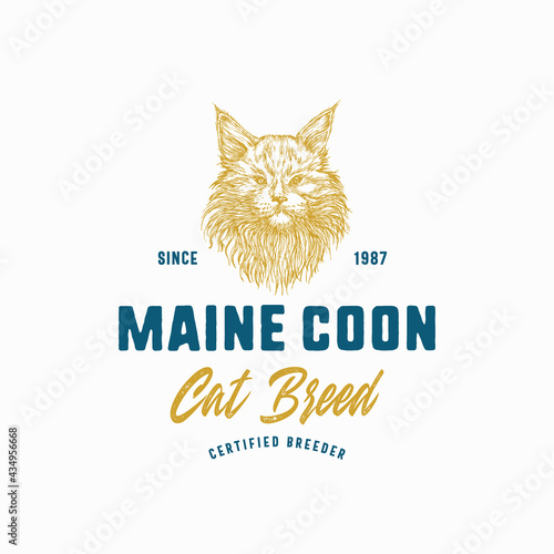 Cat Breeder Badge or Logo Template. Hand Drawn Maine Coon Breed Face Sketch with Retro Typography. Vintage Premium Emblem. Isolated