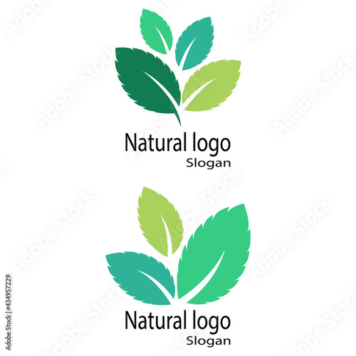 Mint leaves flat vector color icon template