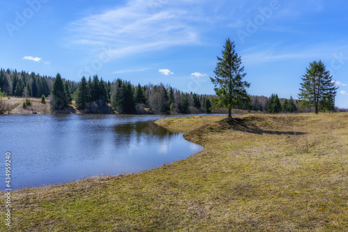 Spring landscape with a forest lake, tall pines and a forest in the distance in sunny weather. White clouds float across the blue sky. Calm and peace around. Early spring. Russia, Middle Urals 