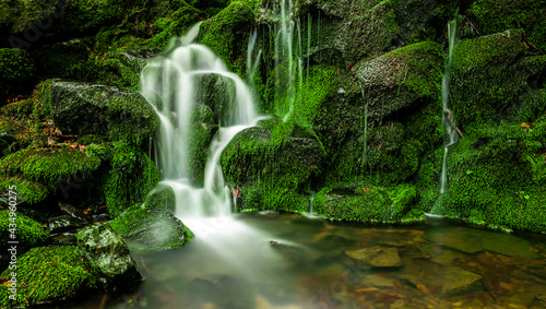 Gr  ner Wasserfall im Wald