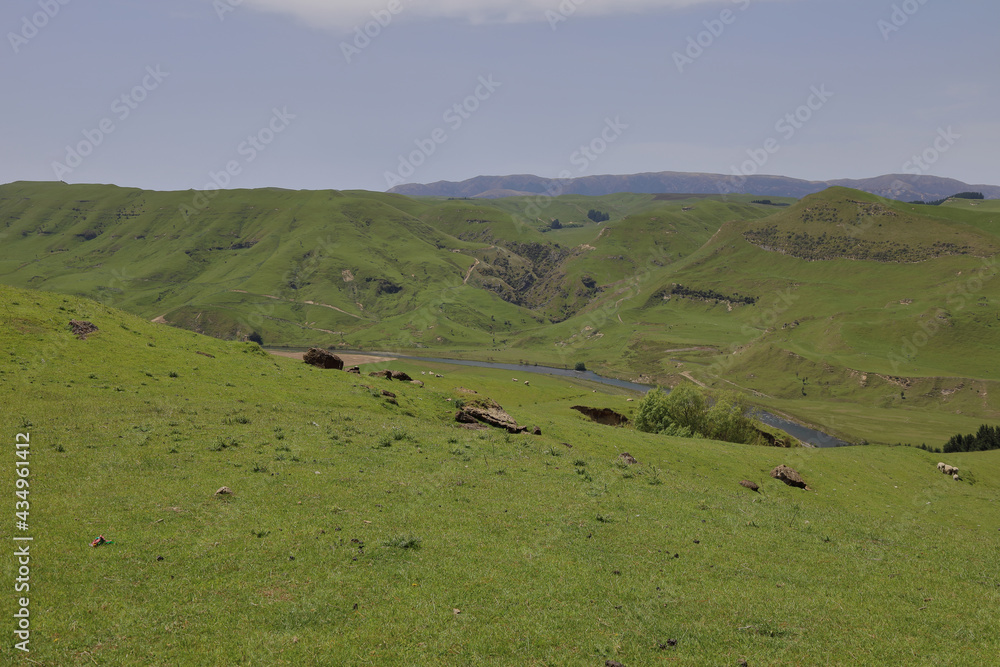 Obraz premium Rangitikei River / Rangitikei River /