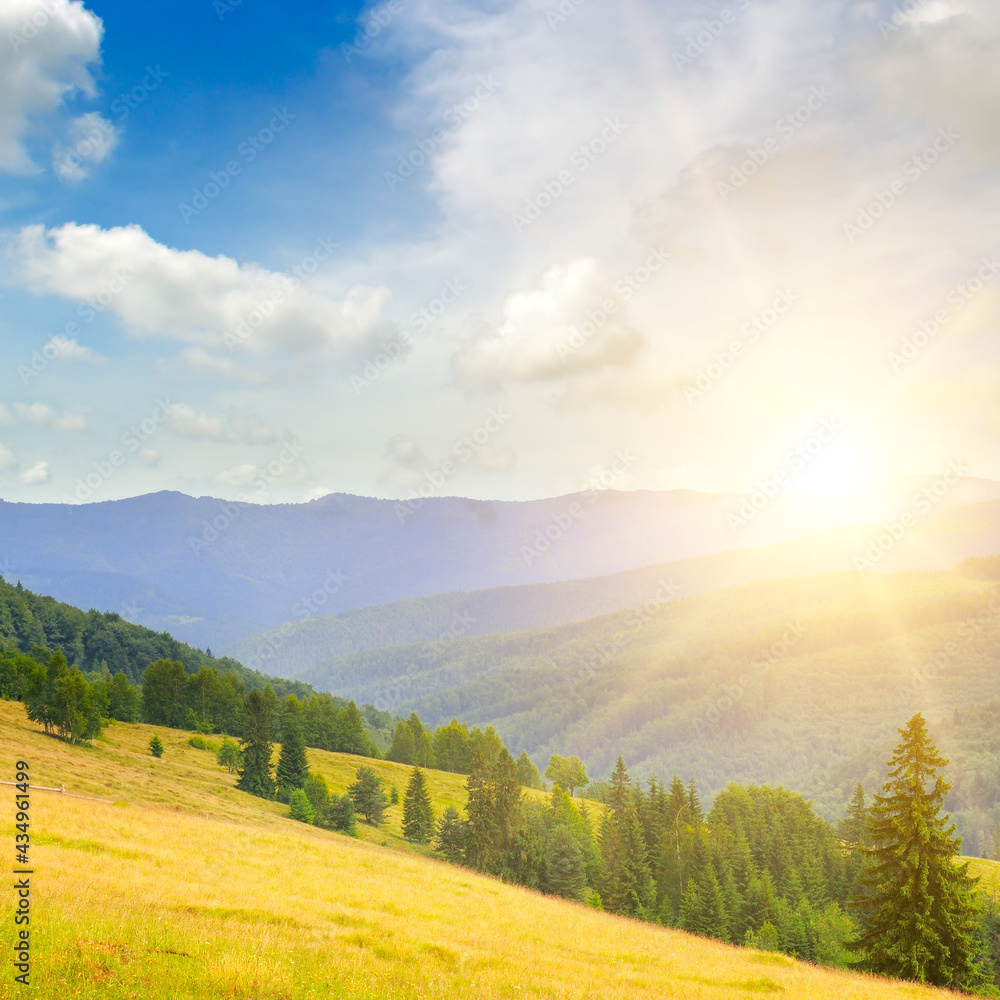 Obraz premium Gorgeous sunrise in Carpathian mountains. grassy meadows and forested hill.