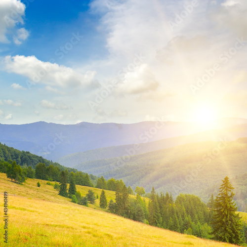 Gorgeous sunrise in Carpathian mountains. grassy meadows and forested hill.