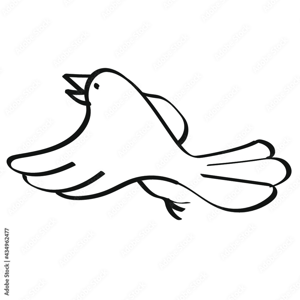 hand drawn bird hand drawn bird